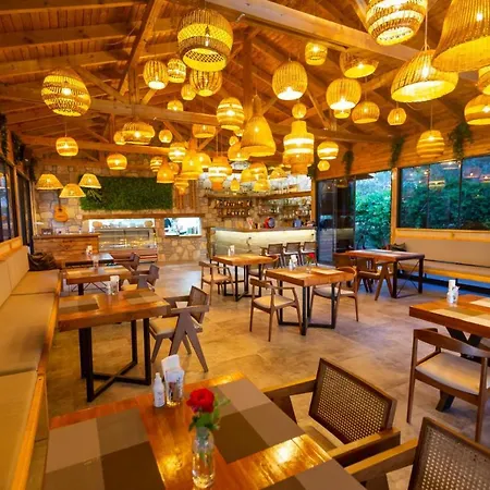 Daire Palmiye Butik Orhaniye Marmaris