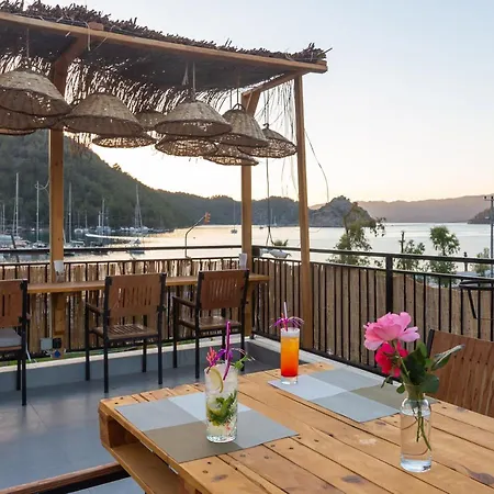 Palmiye Butik Orhaniye